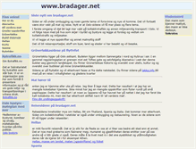 Tablet Screenshot of bradager.net